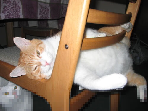 开云体育登录-绿茵争冠硝烟起，篮球狂胜风暴涌，德甲焦点战与湖人篮网对决的体育盛宴