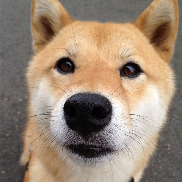 开云体育下载-马克西爆发轰下37+9主宰胜负天平，浙江攻防一体稳稳收下关键胜利