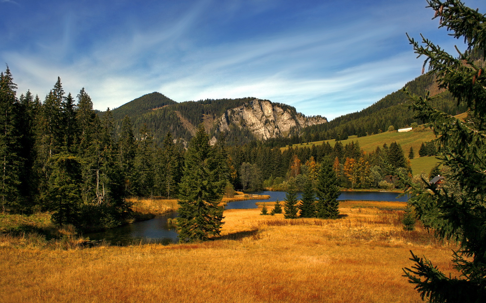 开云体育官网-跨界风暴,马里足球轻取伊朗,京多安篮球总决赛缔造传奇