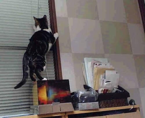 英超争冠焦点战,尼日利亚风暴冲垮土耳其铁壁,冠军悬念再起波澜