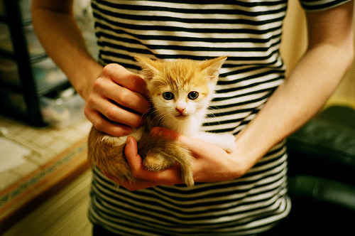 满电武士撕裂防线!三笘薰全程高能输出,塞维利亚生死战力克里昂