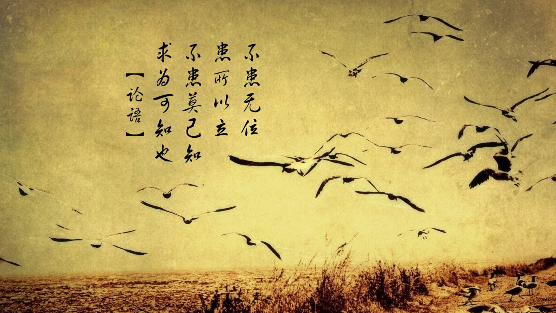 开云体育中国-2026世界杯焦点战，上海队力克森林狼，AI战术与东方意志的胜利