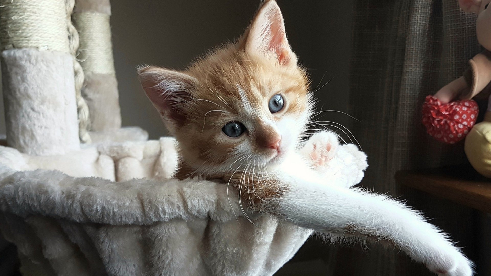 硬仗之王拉文封神，雄鹿争冠路力克活塞